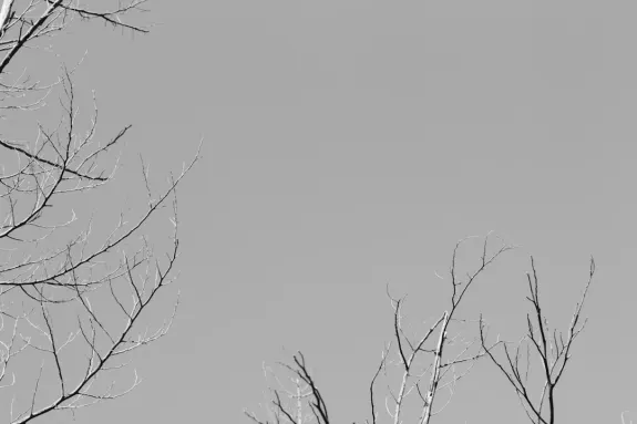 XCasino Casino Assistance